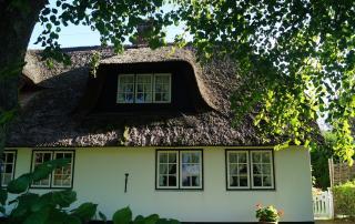 landschap-boerderij