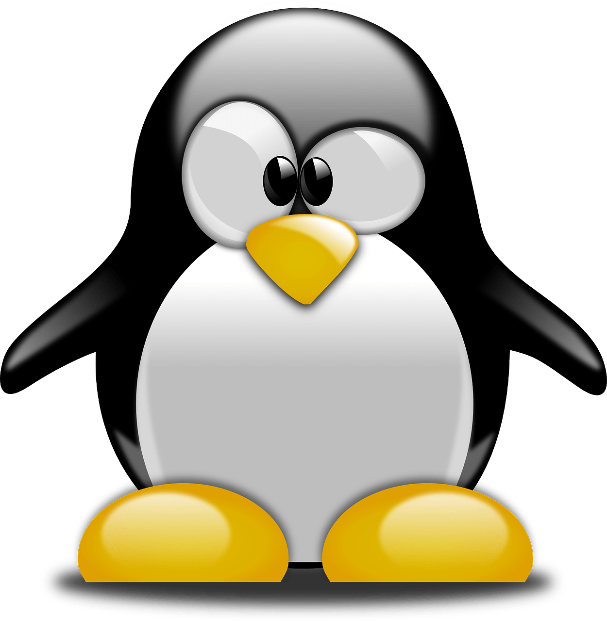 Oplossing Google Pinguin Update
